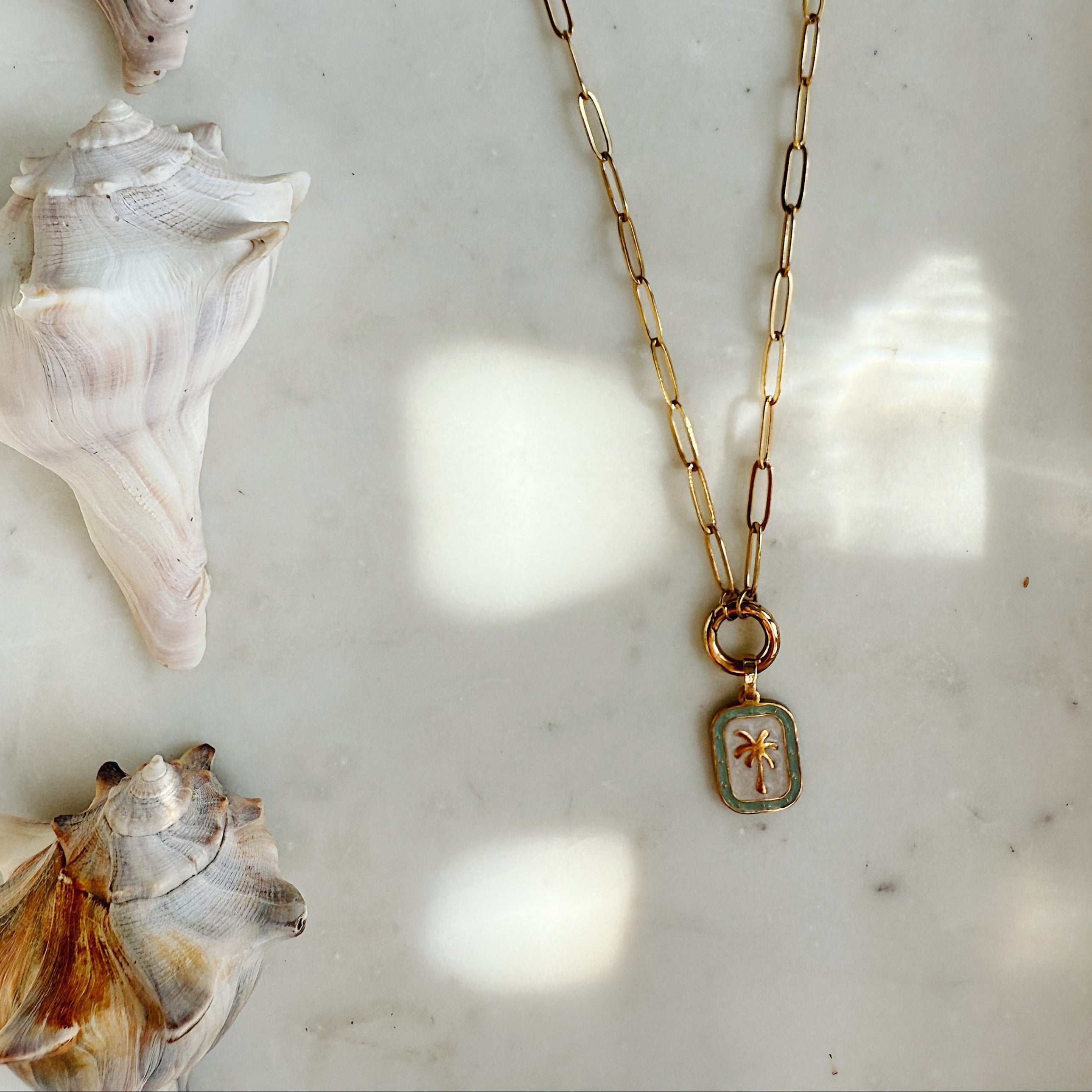 The Palm Charm