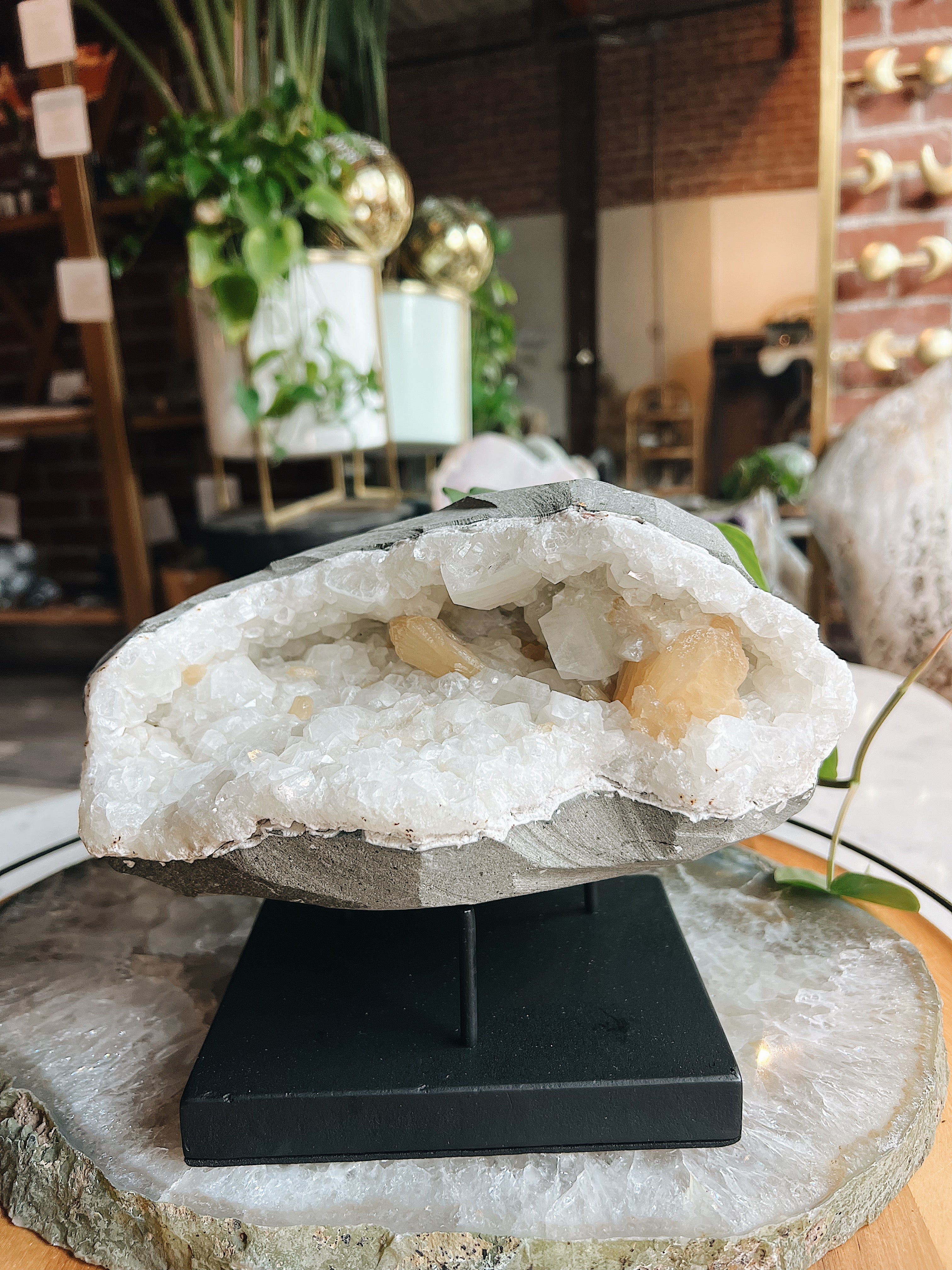 Cluster Stand Wild Alabaster