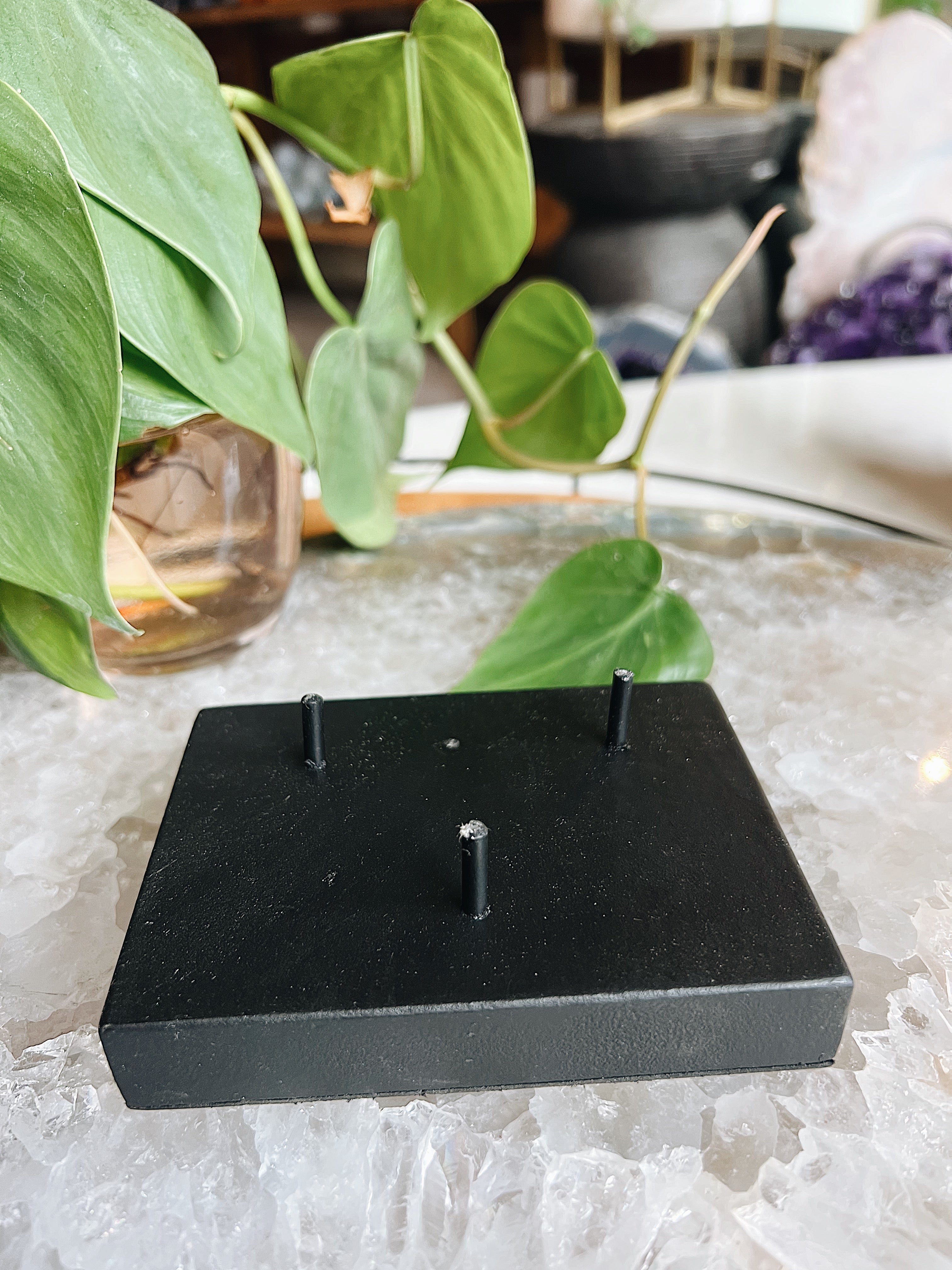 Cluster Stand Wild Alabaster