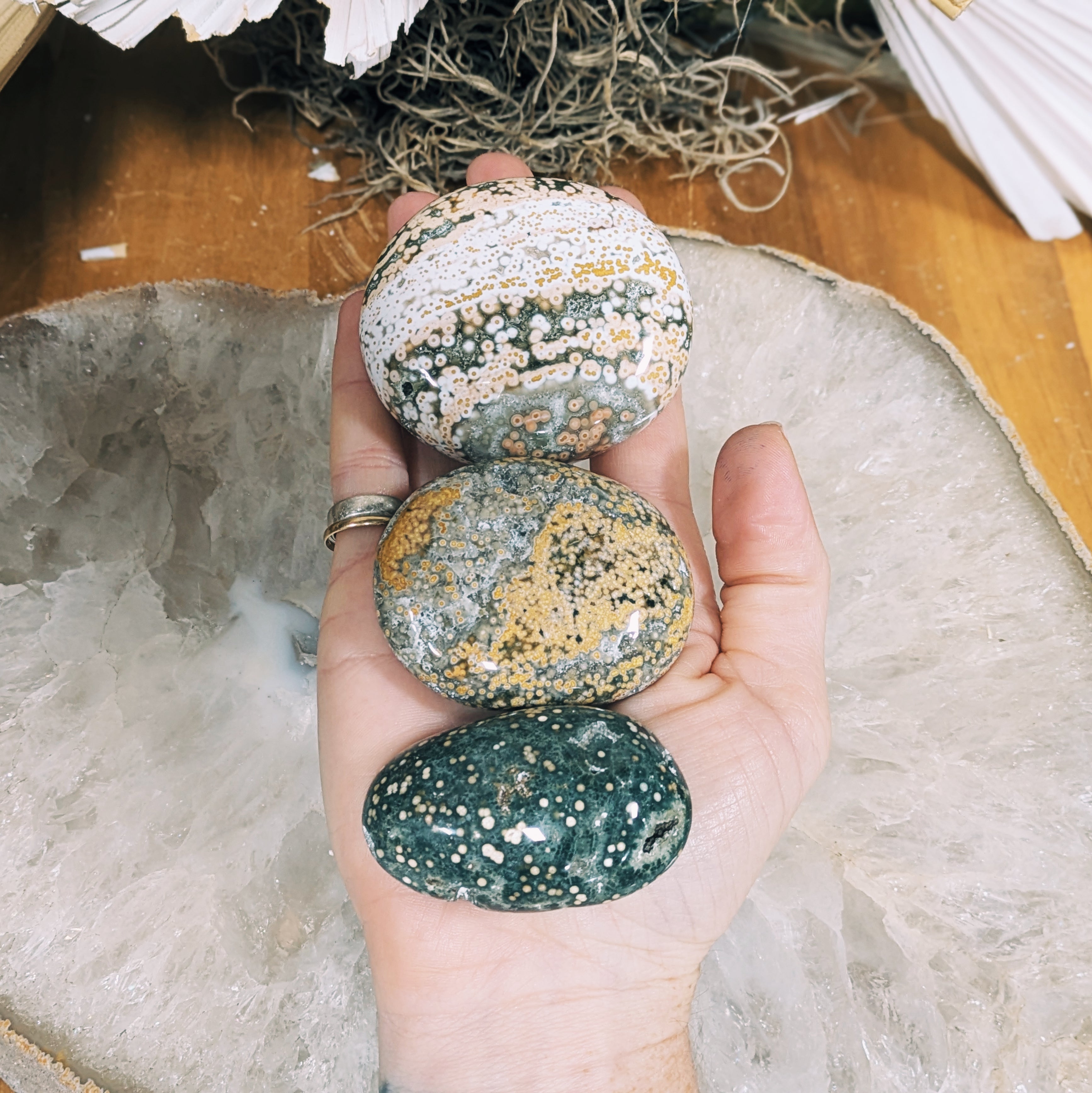 Luxe Intuitively Chosen Ocean Jasper Palm Stone Wild Alabaster