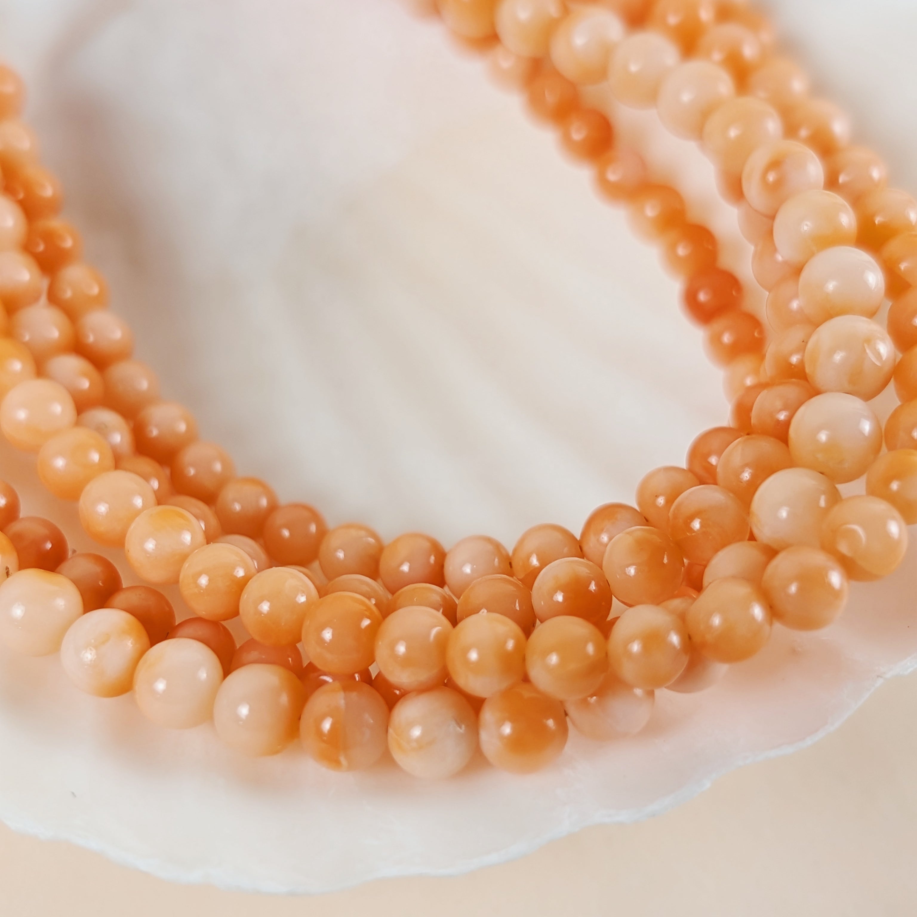 The Livie Necklace | Italian Coral