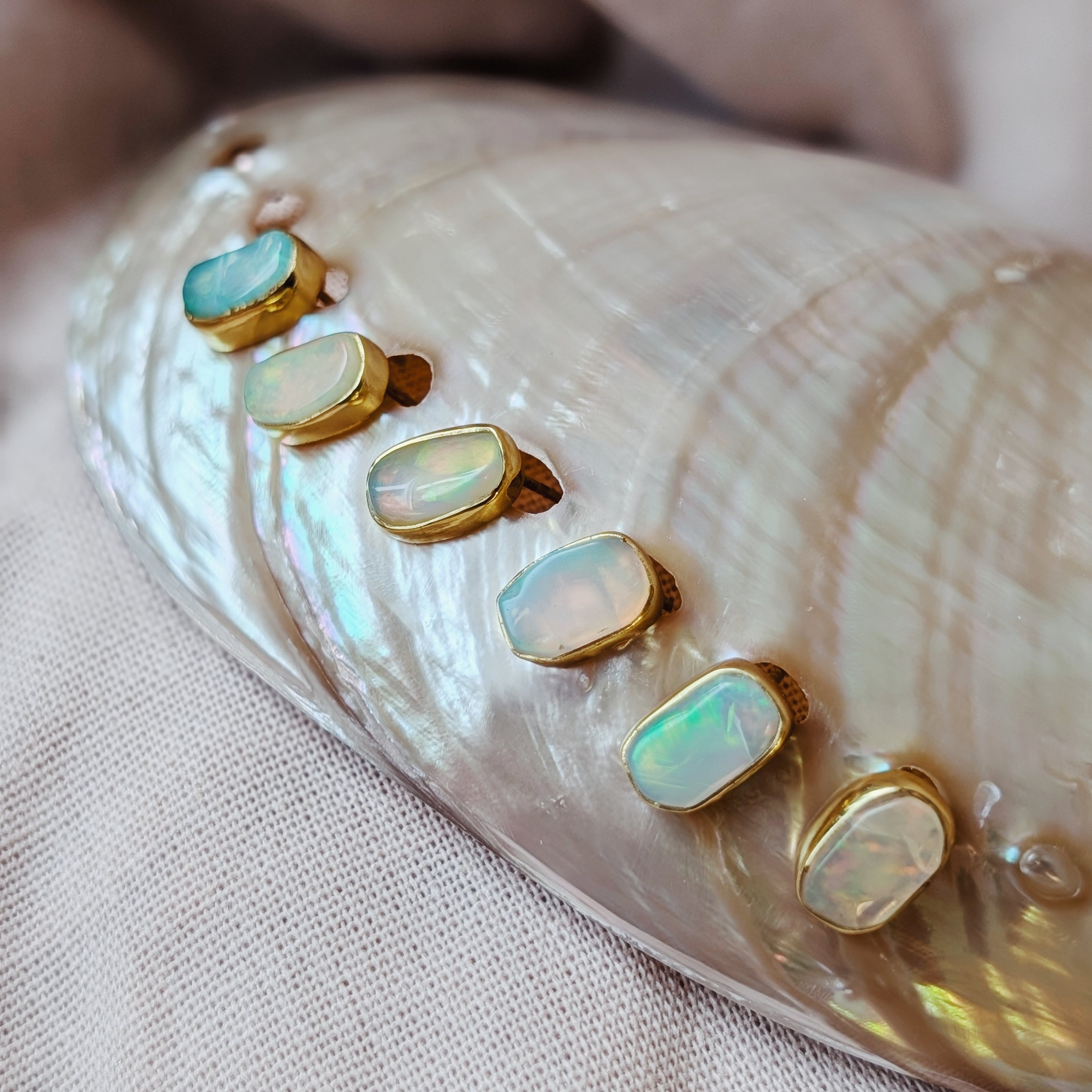 Neptune’s Muse Stud Earrings | Larimar, Opal + Ammonite