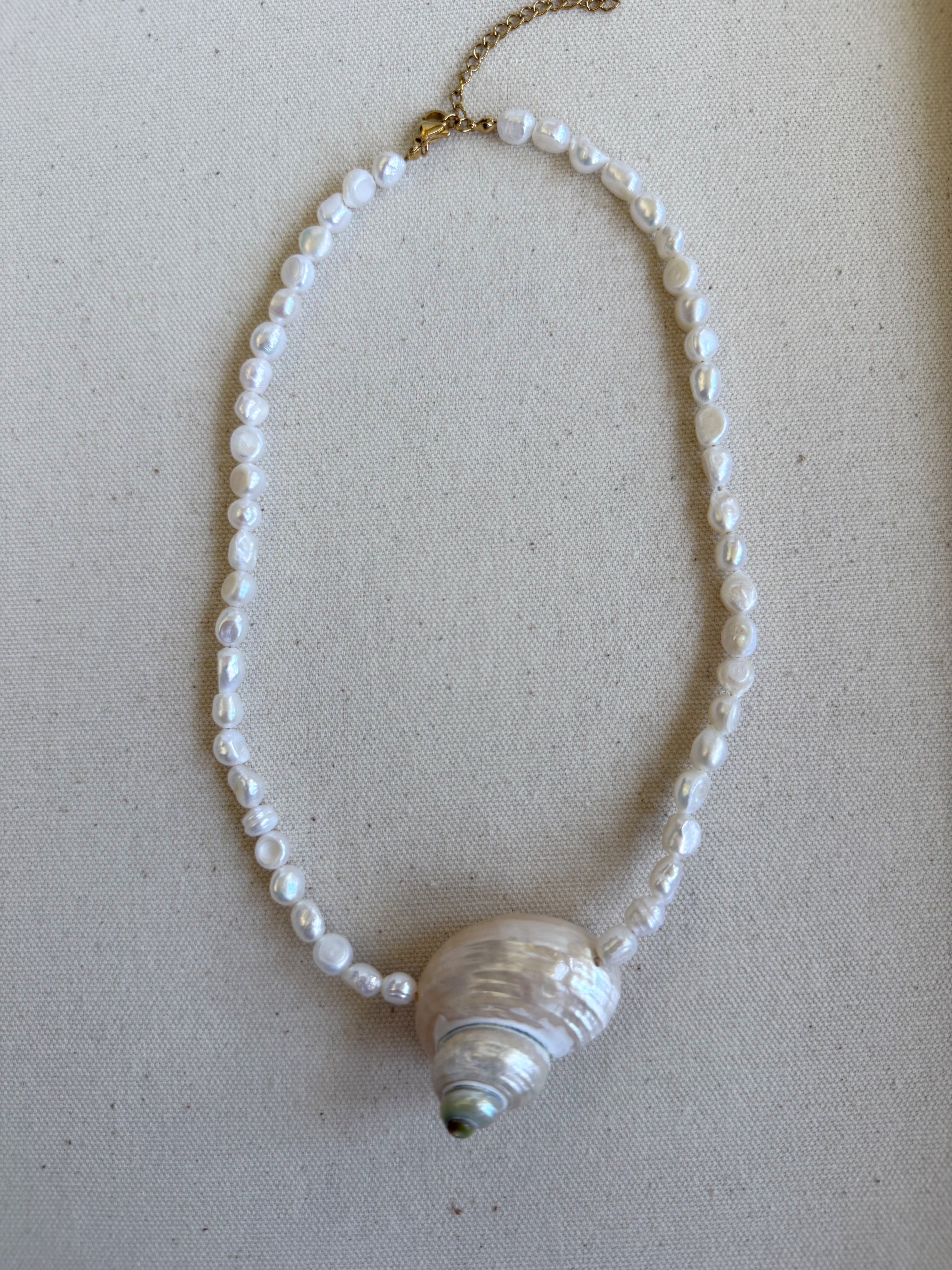 Amaris Collection – Shell & Pearl Jewelry Inspired by the Moon | Wild Alabaster