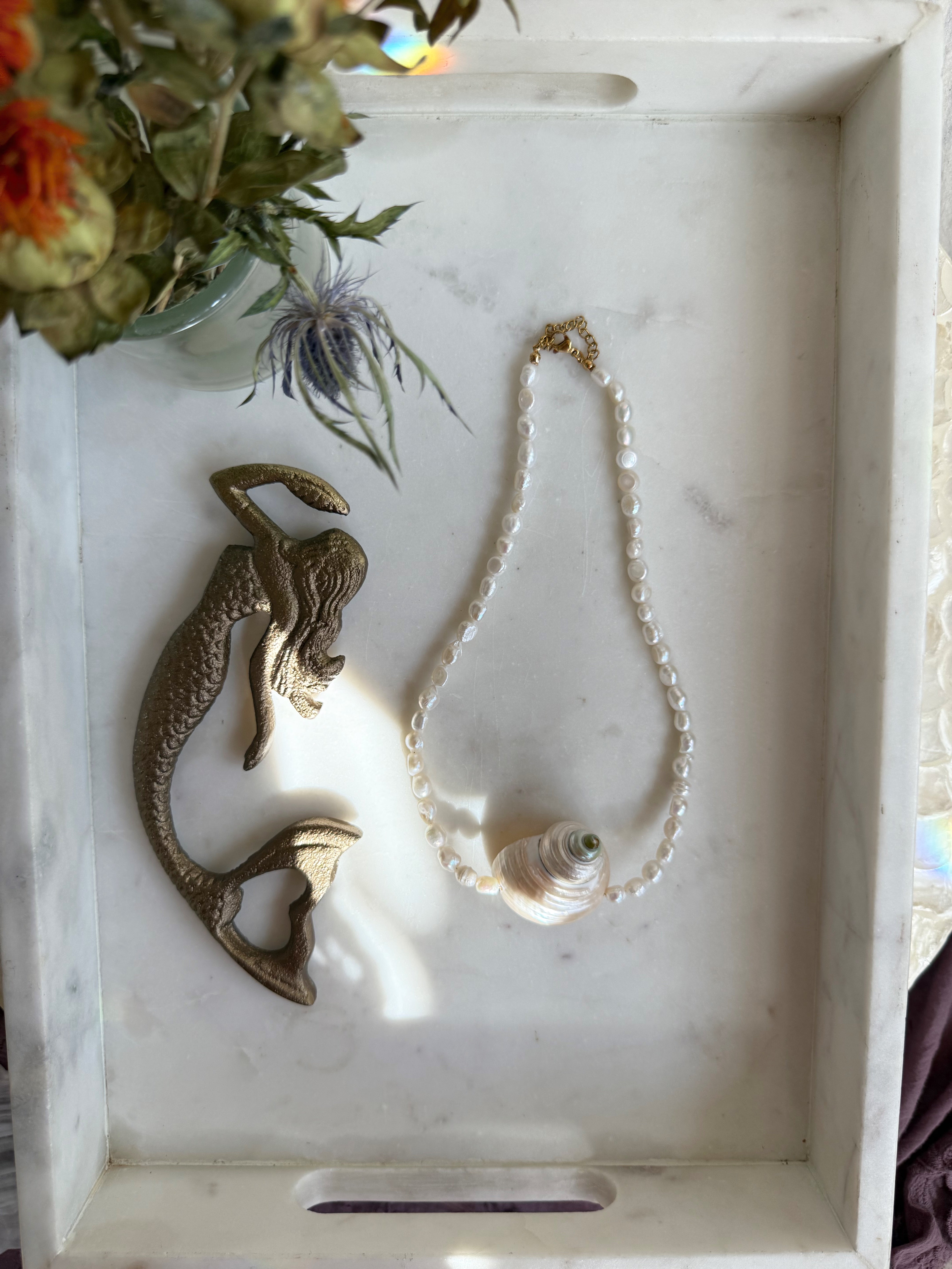 Amaris Collection – Shell & Pearl Jewelry Inspired by the Moon | Wild Alabaster