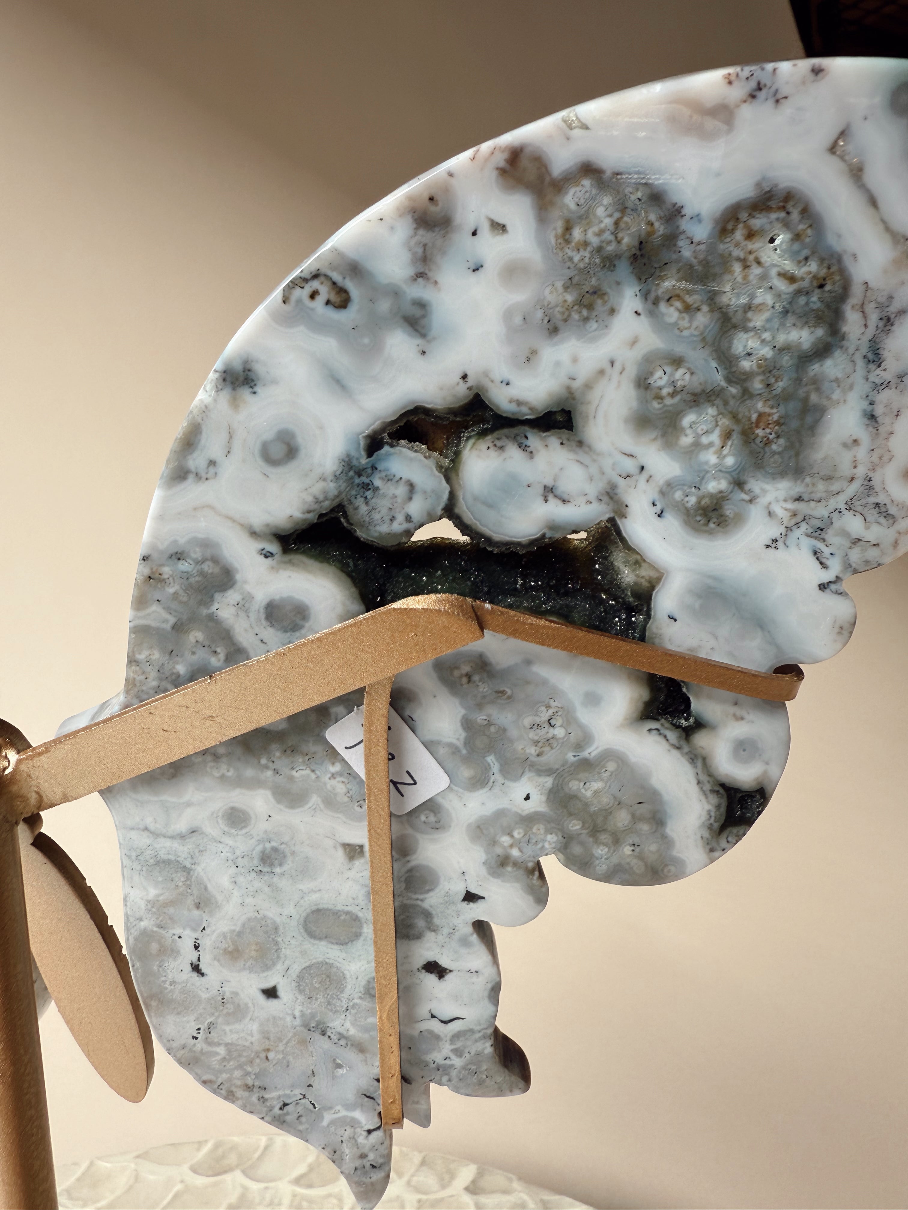 Ocean Jasper Butterfly Wings on Stand