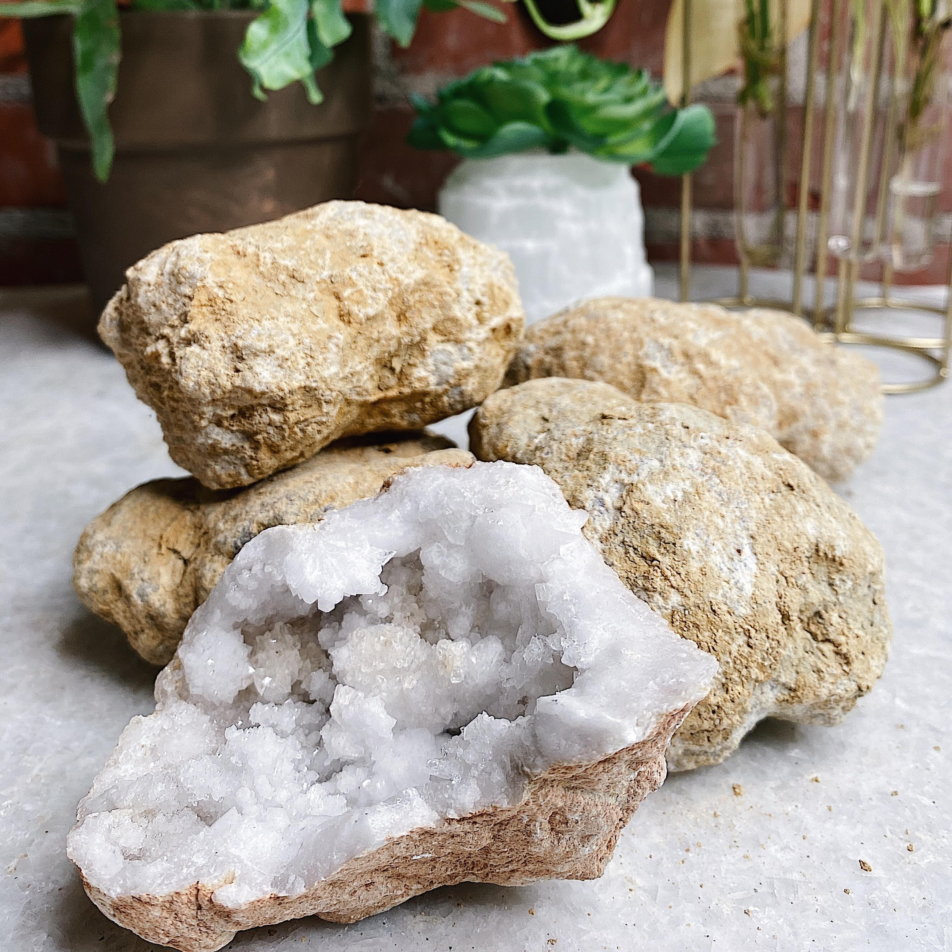 Break Your Own Geodes Wild Alabaster