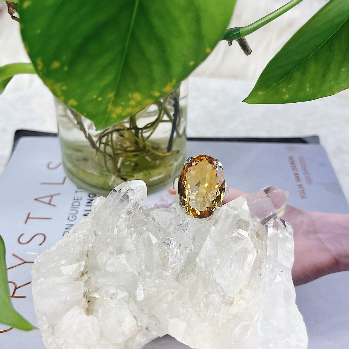 Citrine Ring | Size 9 Wild Alabaster