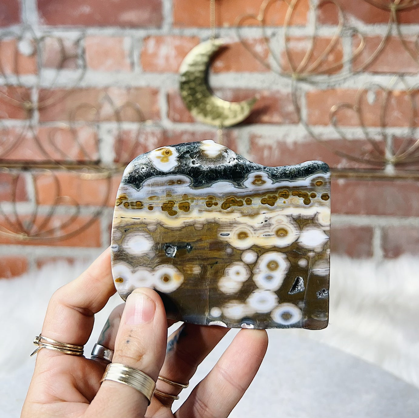 Intuitively Chosen Ocean Jasper Slab Wild Alabaster