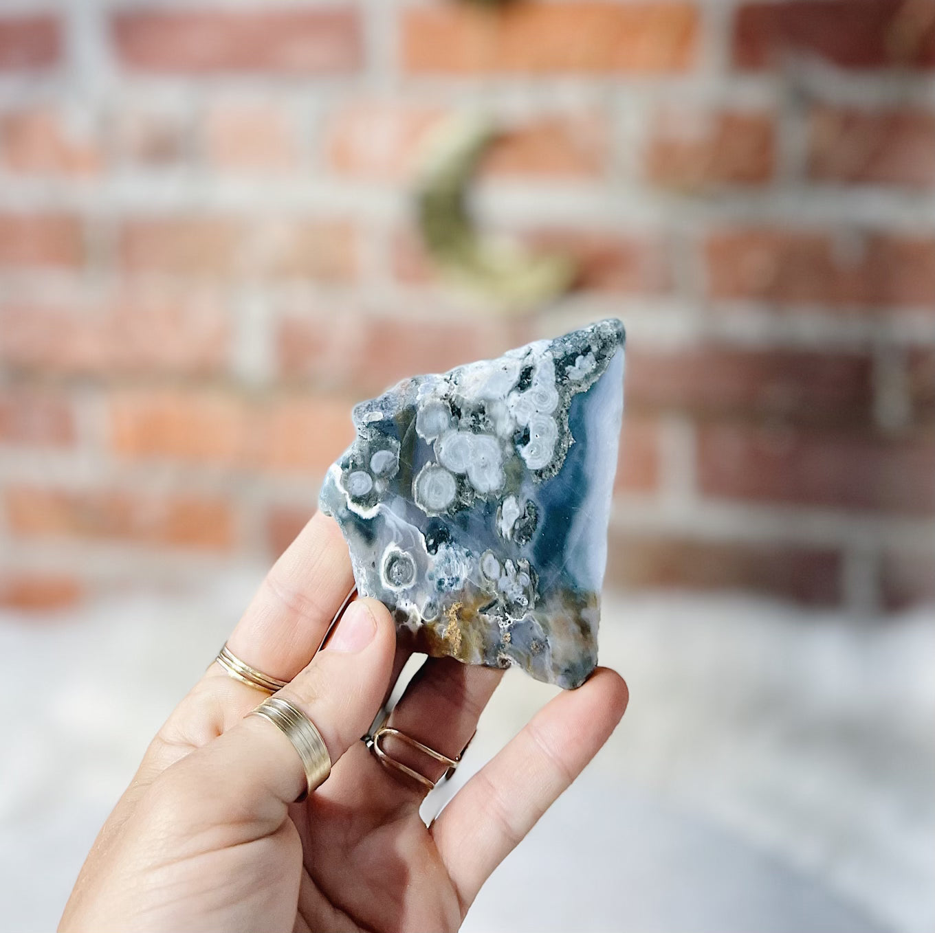 Intuitively Chosen Ocean Jasper Slab Wild Alabaster