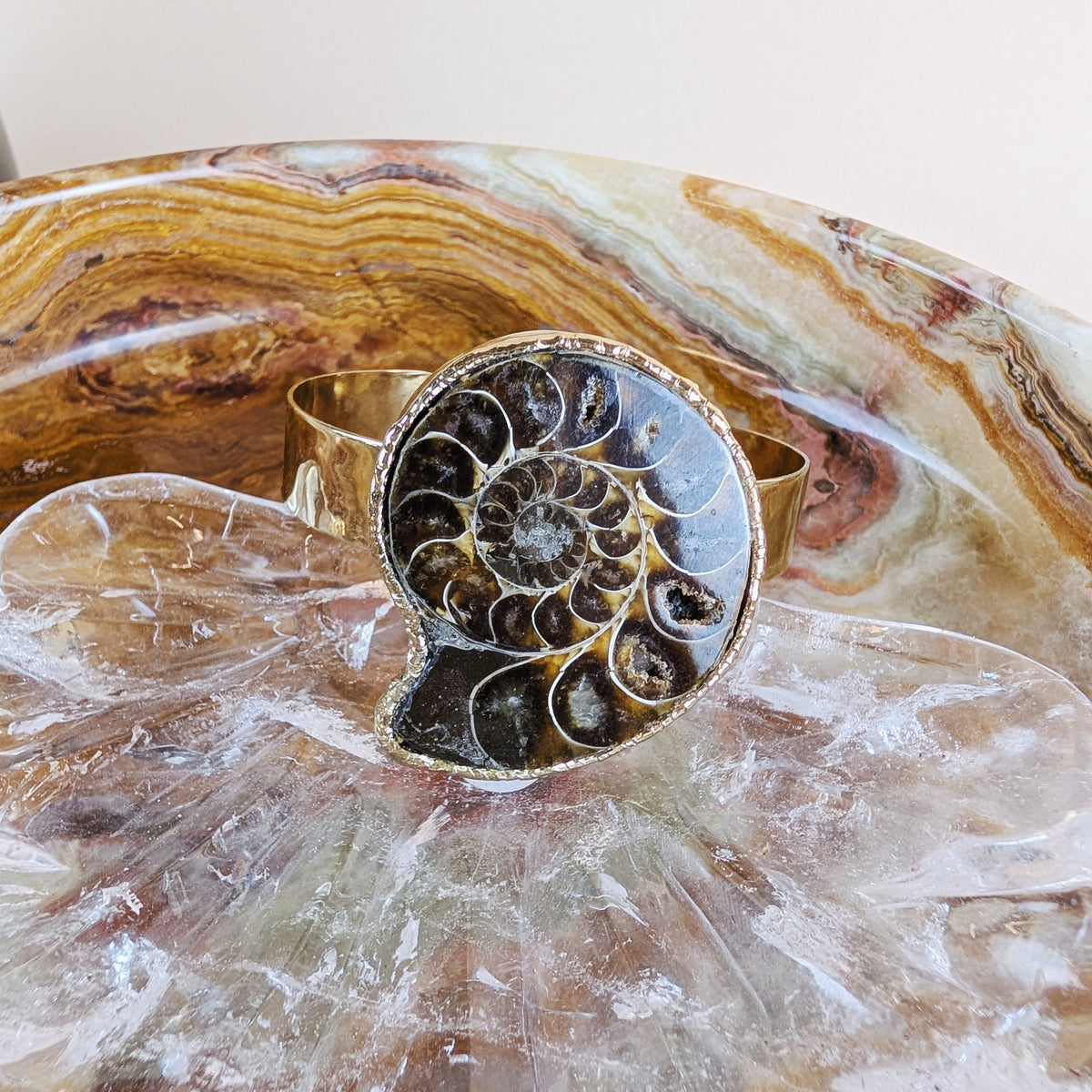 Ammonite