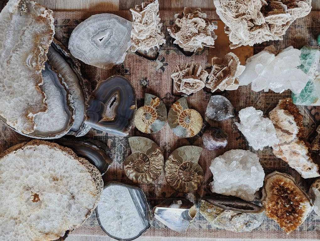 Wild Alabaster Wild Alabaster