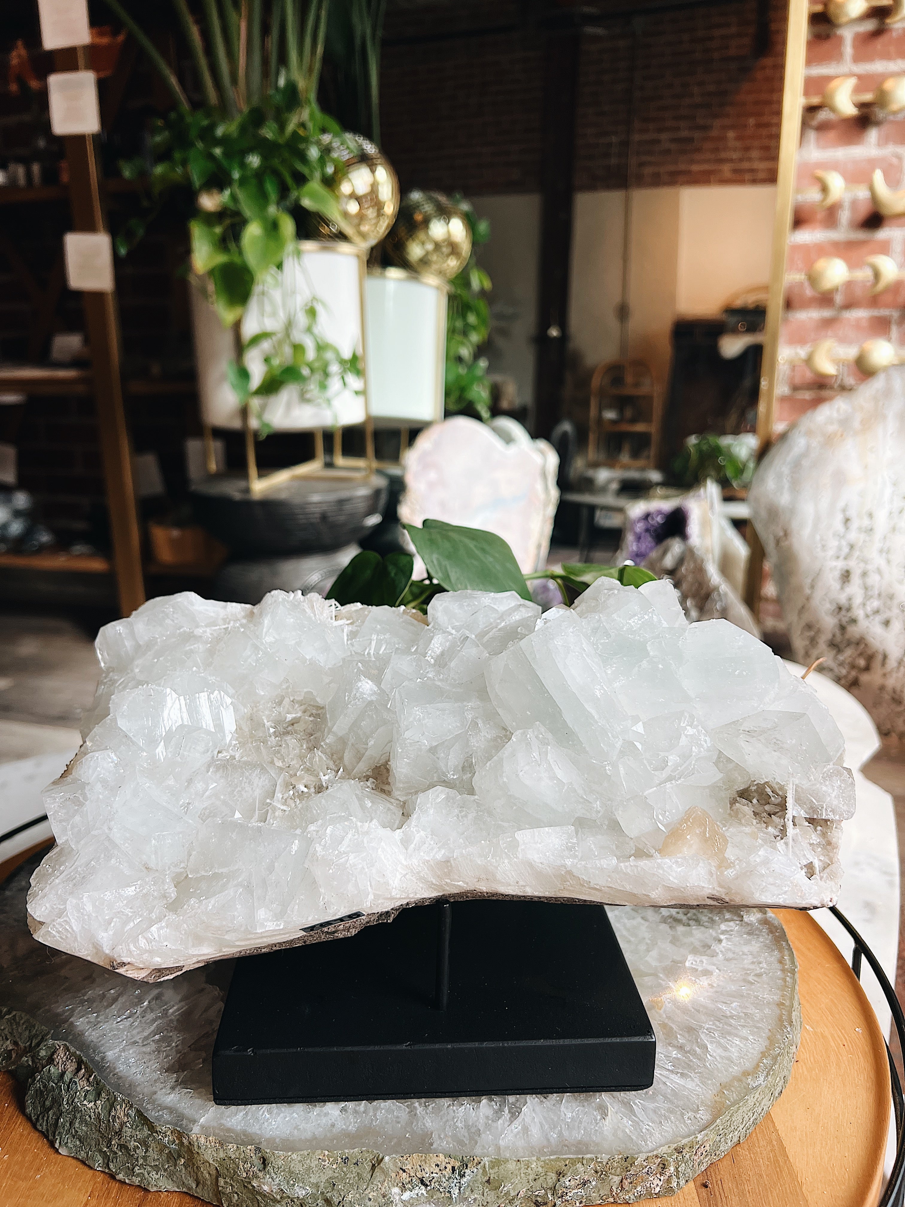 Cluster Stand Wild Alabaster