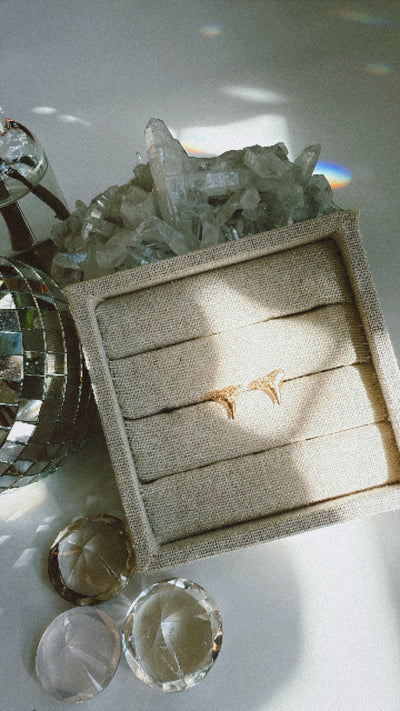 14k Solid Gold Shark Teeth Earrings Wild Alabaster