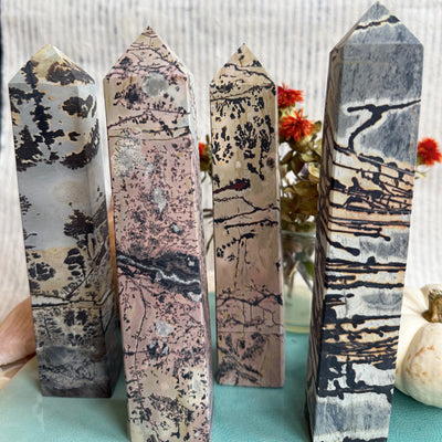 Dendritic Picture Jasper Tower crystal with natural tree-like inclusions symbolizing grounding, balance, and growth — styled in warm autumn light from Wild Alabaster’s Autumn Alchemy Collection.