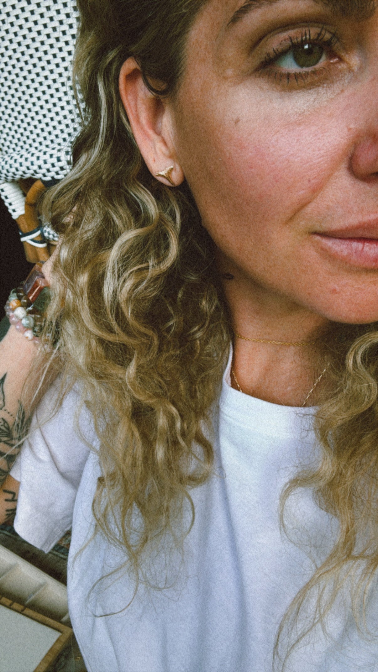 14k Solid Gold Shark Teeth Earrings Wild Alabaster