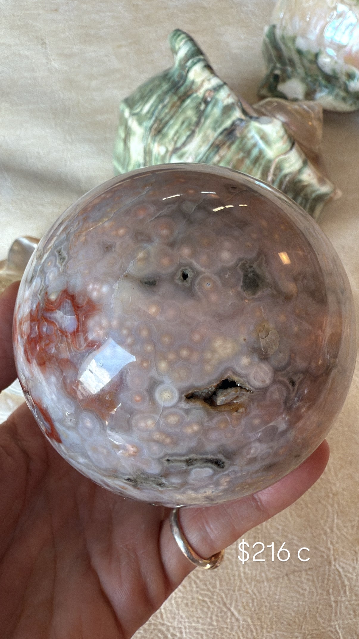 Ocean Jasper C