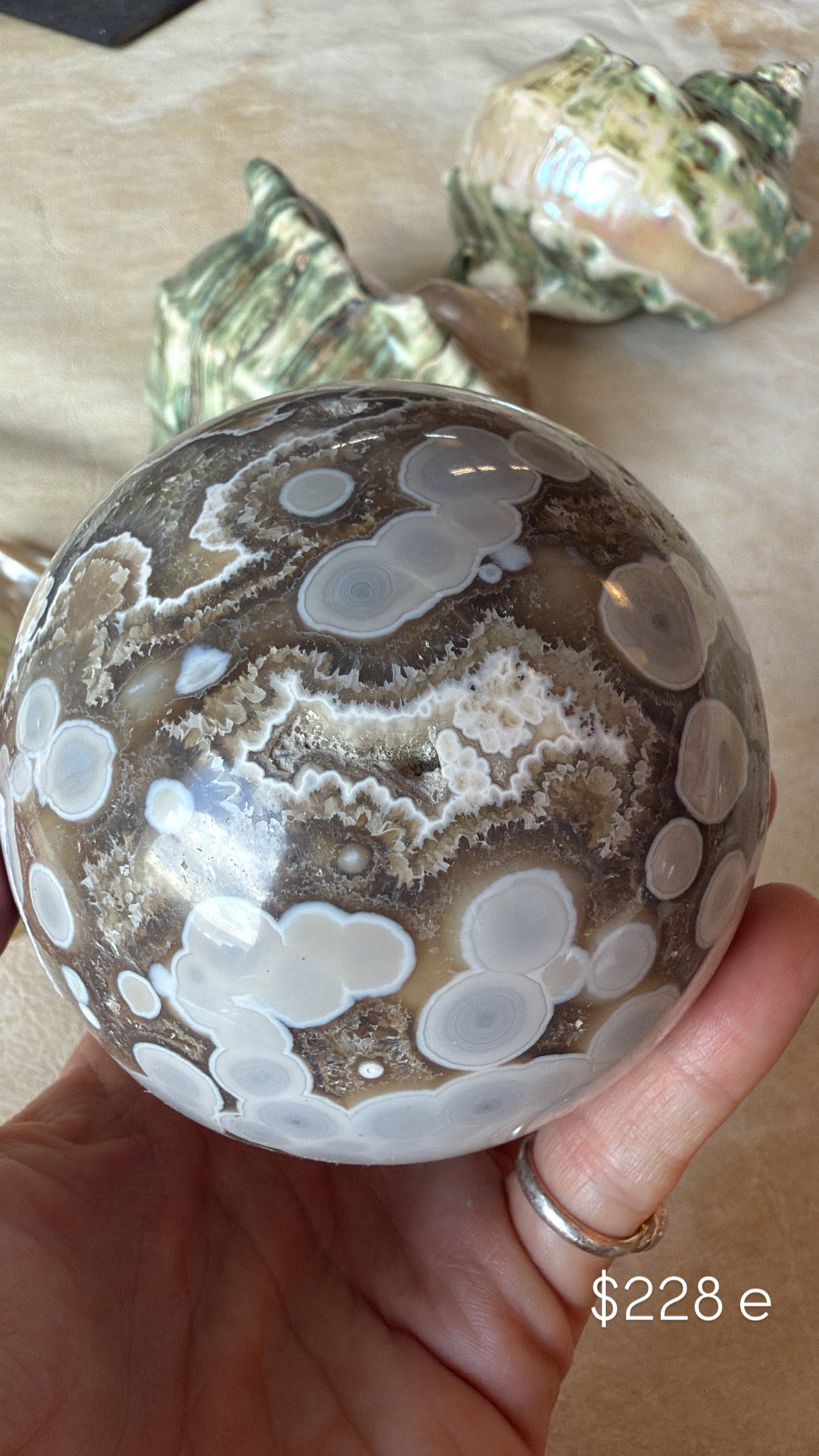 Ocean Jasper E