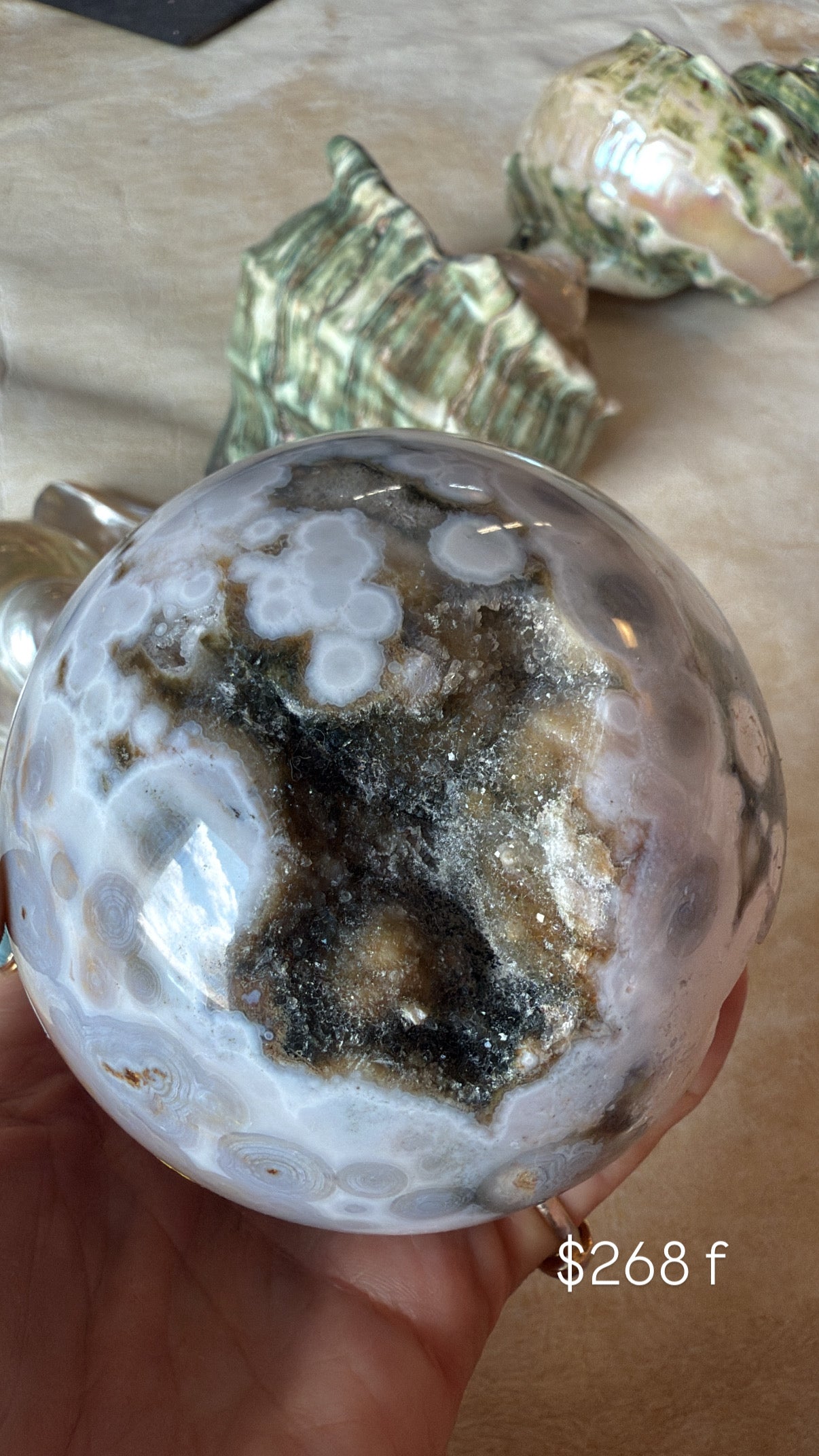 Ocean Jasper F