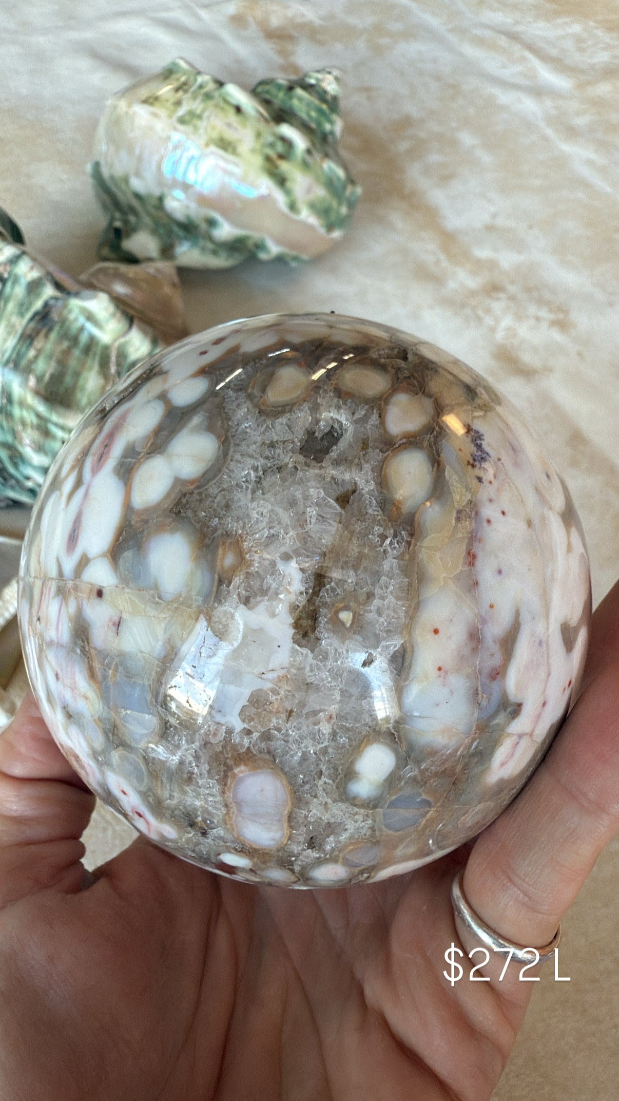 Ocean Jasper L