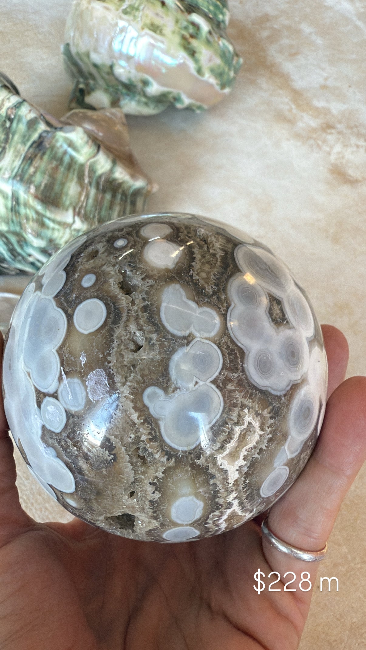 Ocean Jasper M