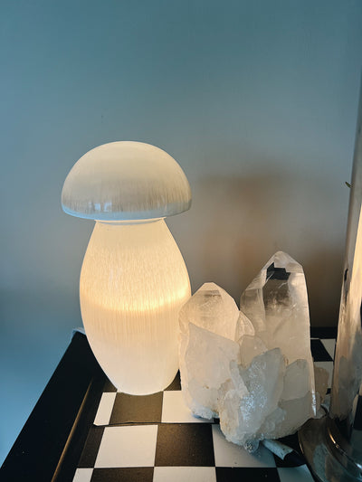 Selenite Mushroom Lamp Wild Alabaster