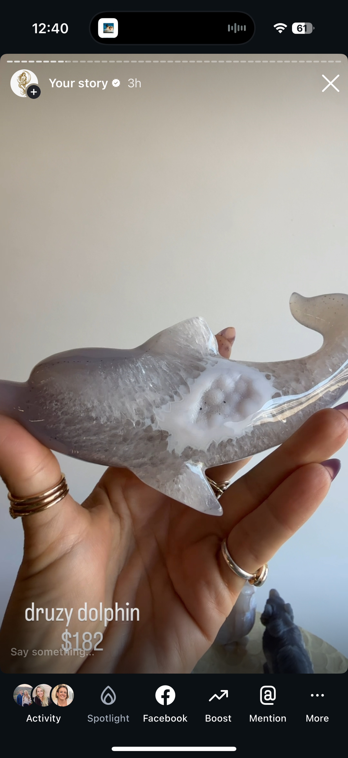 Druzy Dolphin