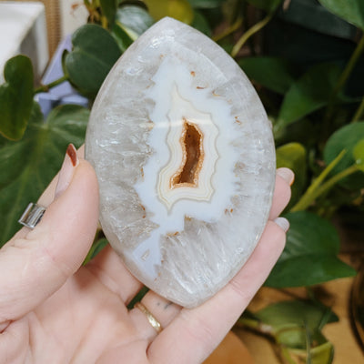 Druzy Agate Eye Free Form Wild Alabaster