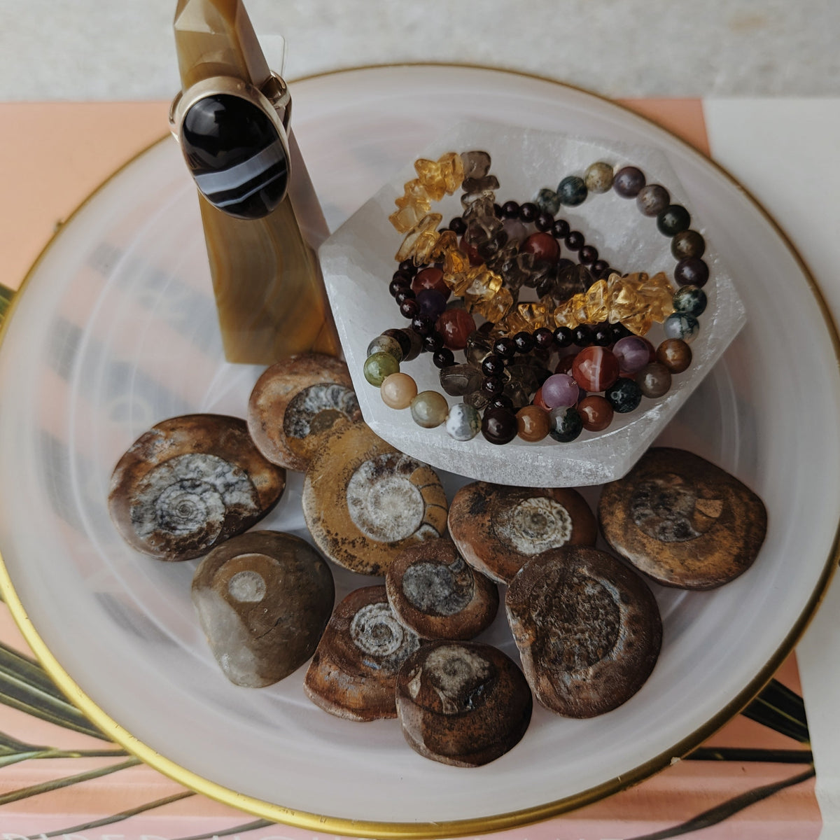 Ammonite Chips Wild Alabaster