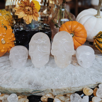Intuitively Chosen Clear Quartz Skull Wild Alabaster