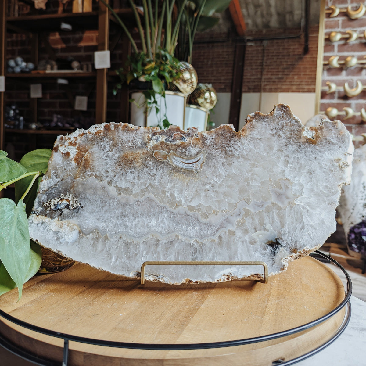 Agate Slab Wild Alabaster