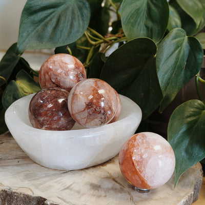 Intuitively Chosen Fire Quartz Medium Sphere Wild Alabaster