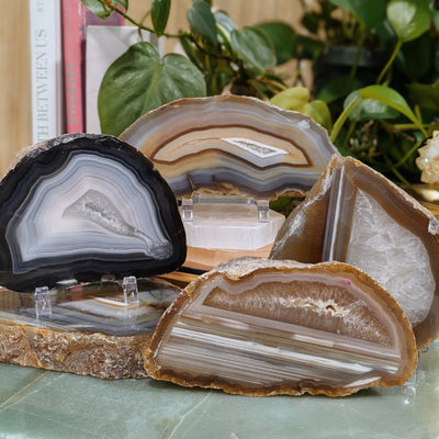 Small Thick Agate Slabs Wild Alabaster