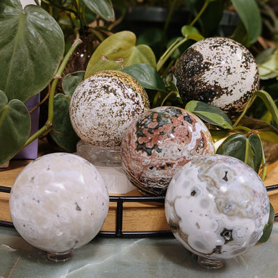 Luxe Ocean Jasper Spheres Wild Alabaster