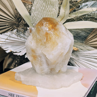 Citrine Top Polish Wild Alabaster