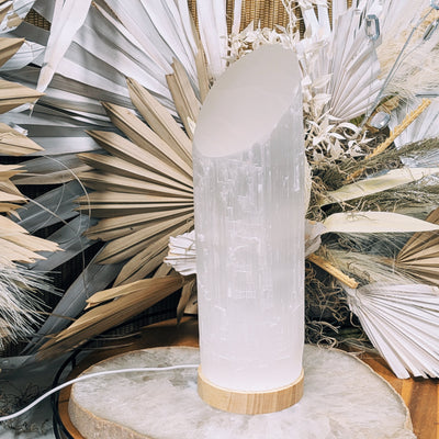 Intuitively Chosen Raw + Polished Selenite Cylinder Lamp Wild Alabaster