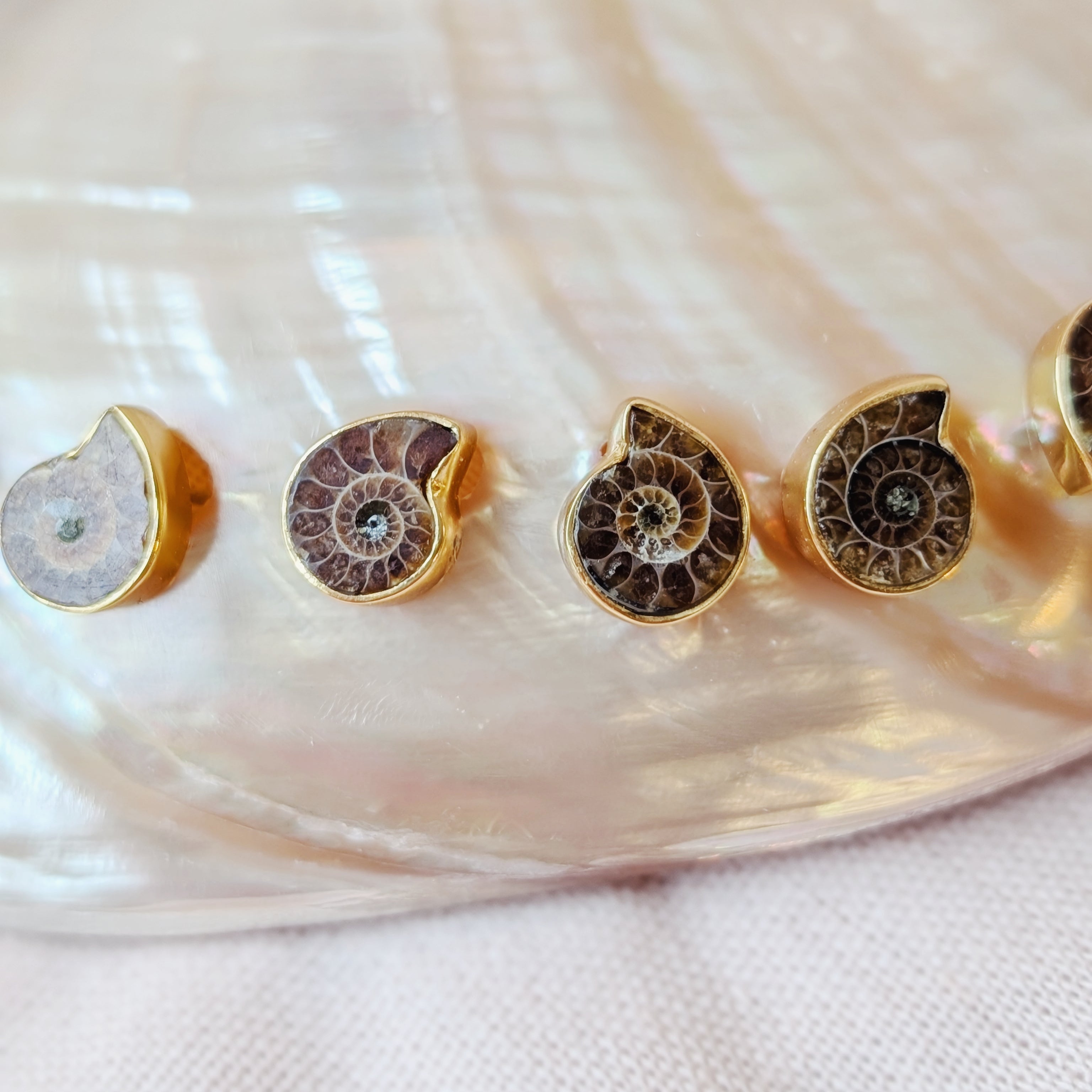 Neptune’s Muse Stud Earrings | Larimar, Opal + Ammonite