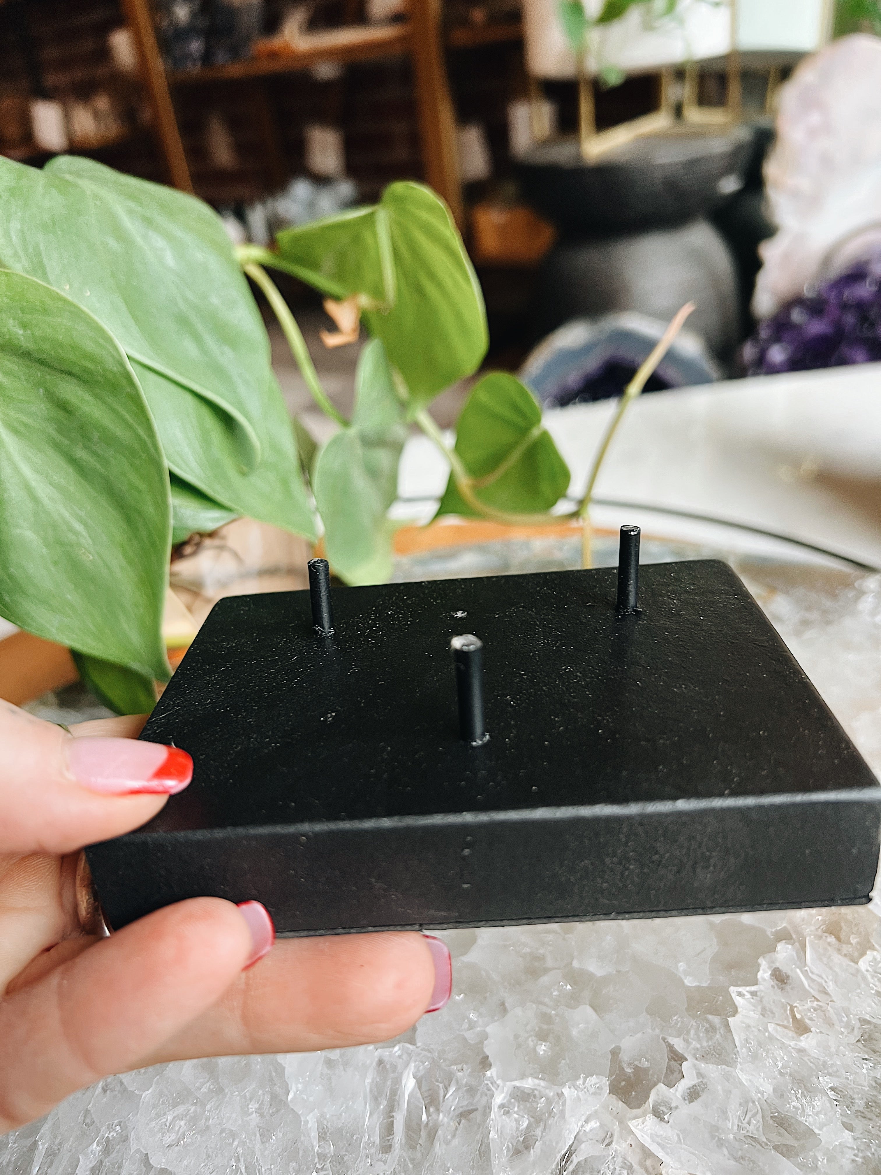 Cluster Stand Wild Alabaster