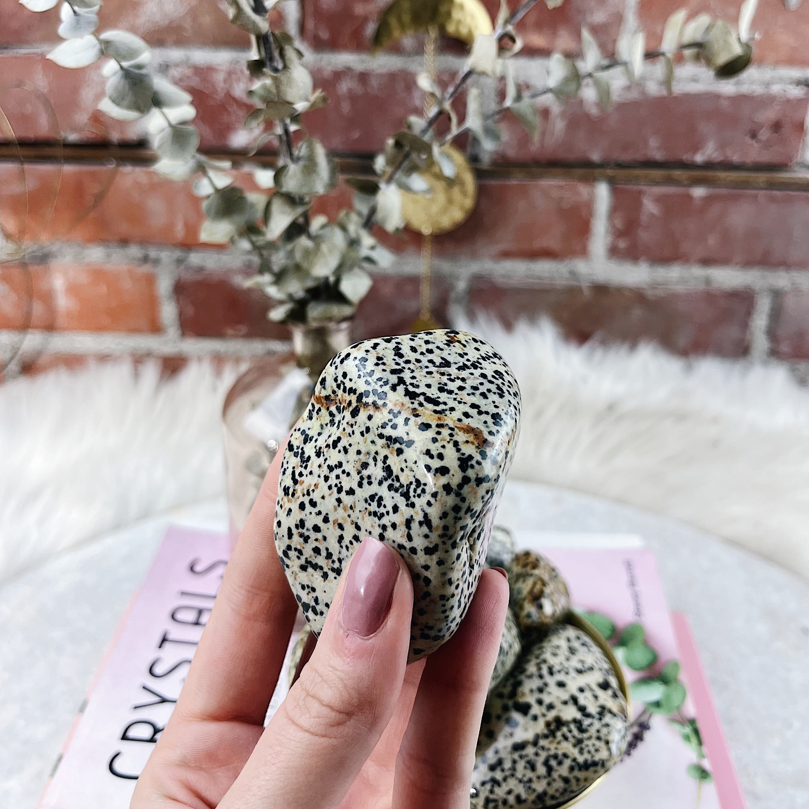 Intuitively Chosen Dalmatian Jasper Palm Stone Wild Alabaster