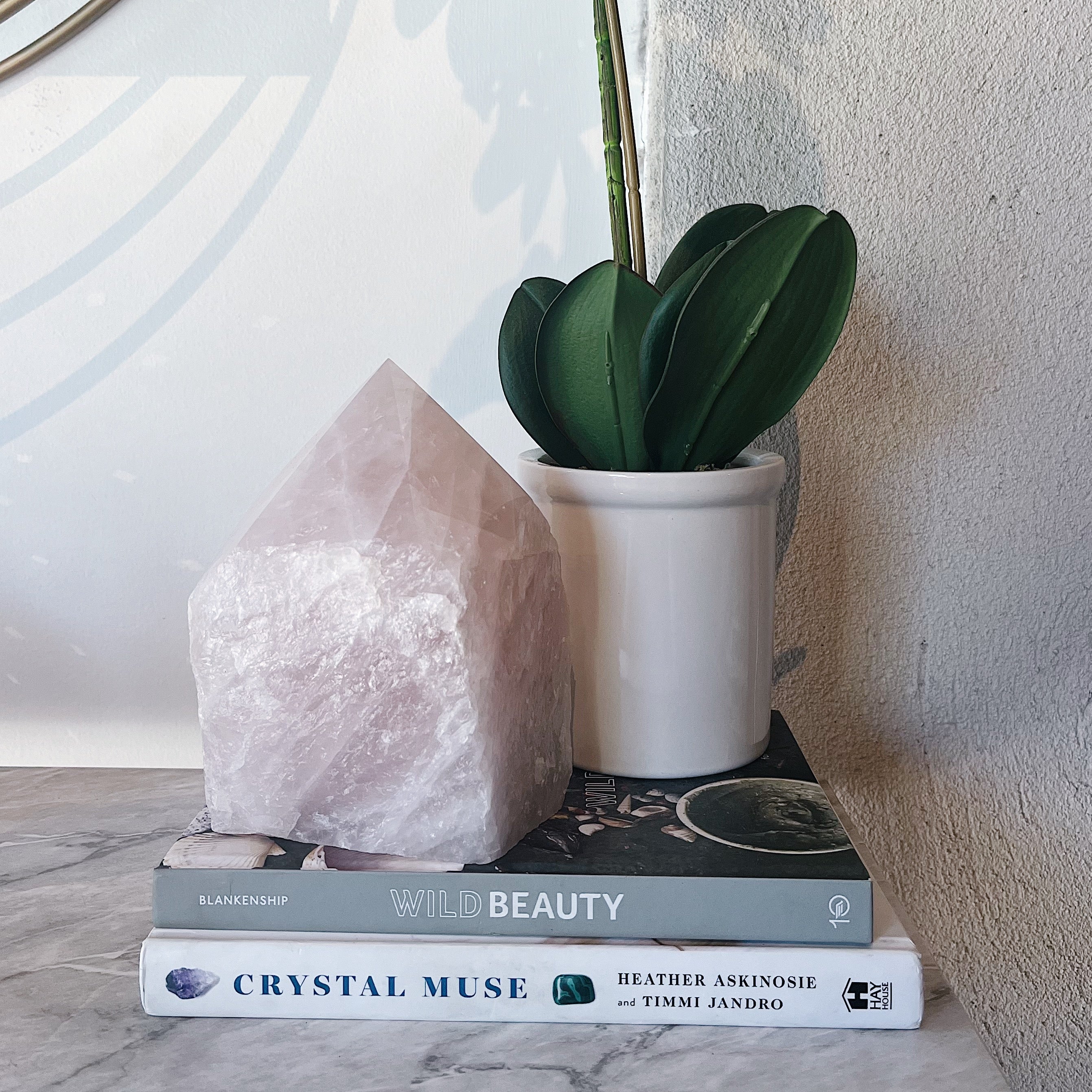 Intuitively Chosen Rose Quartz Top Polish Lamp Wild Alabaster