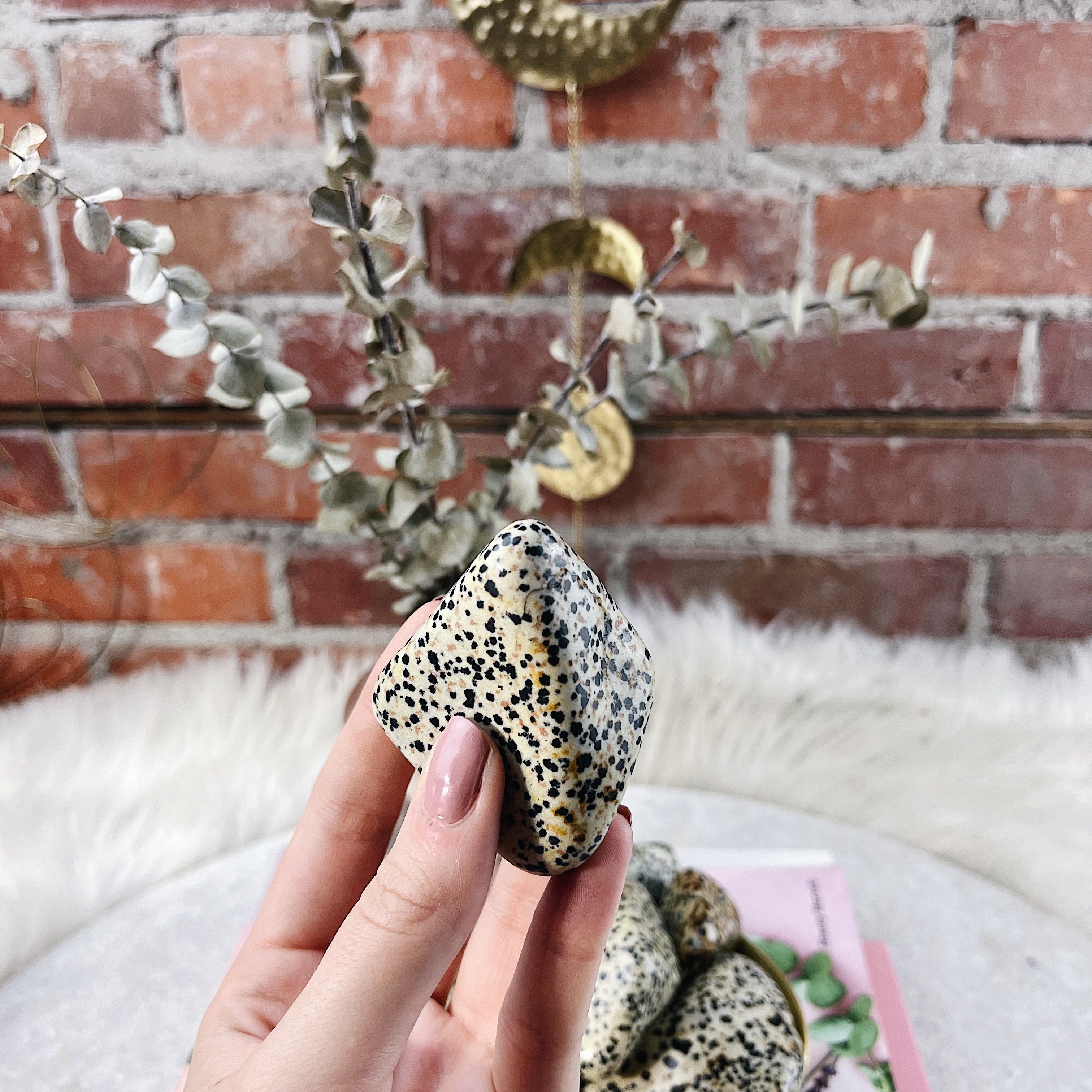 Intuitively Chosen Dalmatian Jasper Palm Stone Wild Alabaster