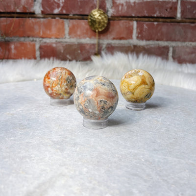 Intuitively Chosen Crazy Lace Agate Small Sphere Wild Alabaster
