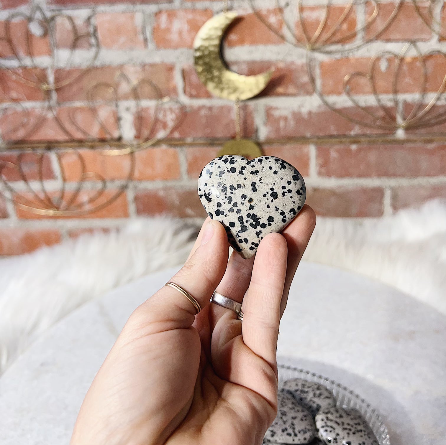 Intuitively Chosen Dalmatian Palm Heart Wild Alabaster