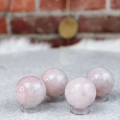 Intuitively Chosen Rose Quartz Sphere Wild Alabaster