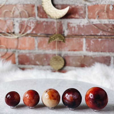 Intuitively Chosen Carnelian Sphere Wild Alabaster