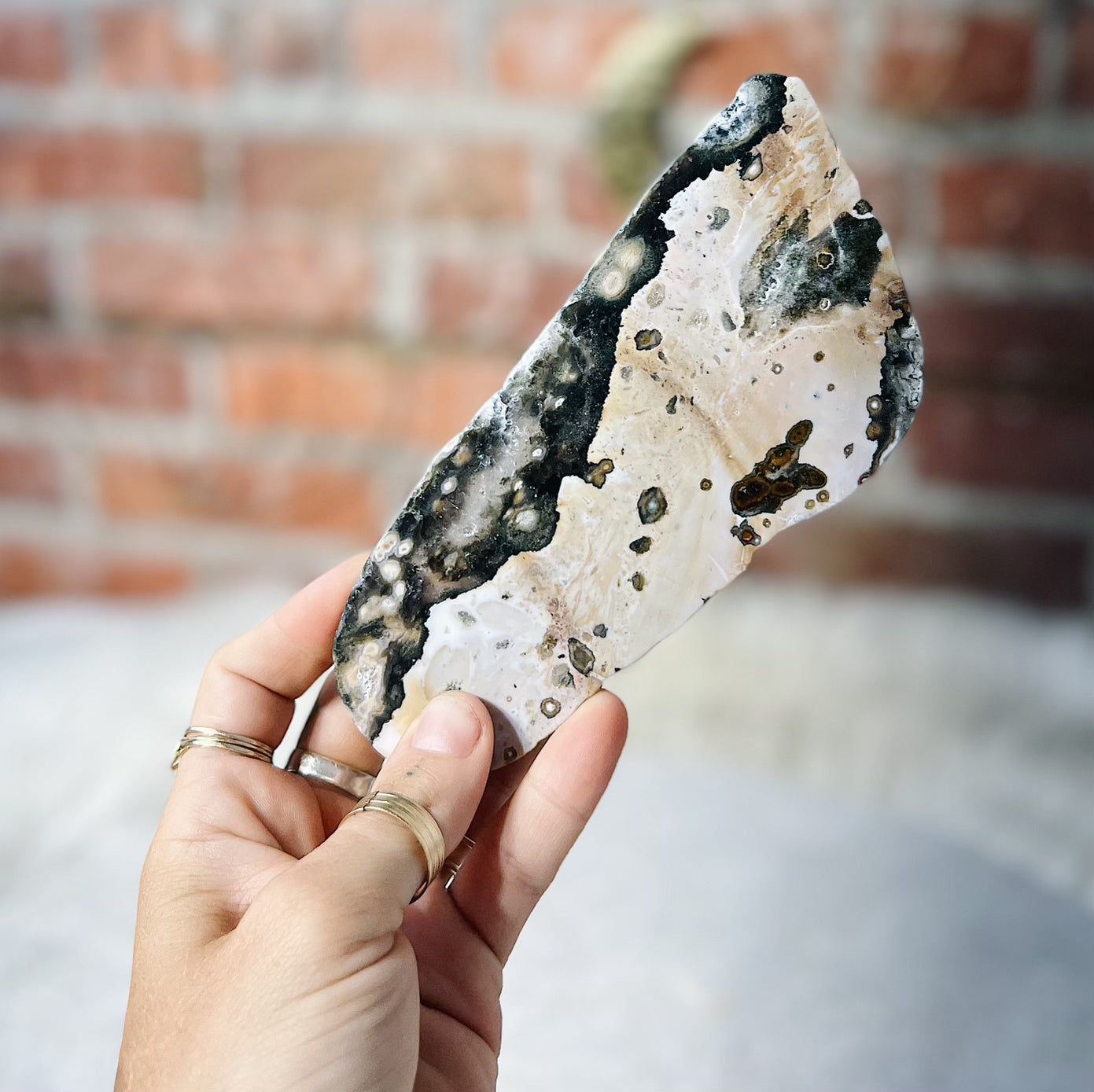 Intuitively Chosen Ocean Jasper Slab Wild Alabaster