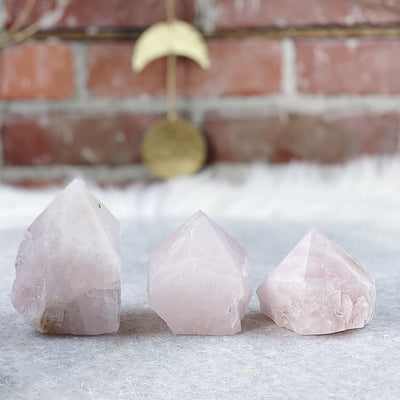 Intuitively Chosen Rose Quartz Top Polish Wild Alabaster
